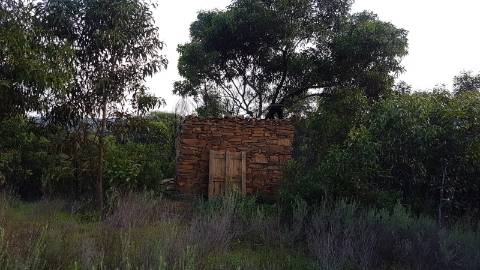 TERRENO MISTO COM 71.000 M2 - COM RUINA - POÇO - LAGO - VISTA MAR - POSSIBILIDADE DE CONSTRUÇÃO - HABITAÇÃO E/OU TURISMO - CHAMPANA - TAVIRA - ALGARVE