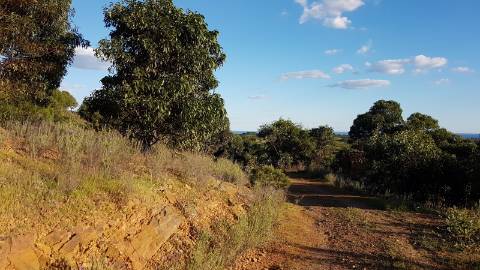 TERRENO MISTO COM 71.000 M2 - COM RUINA - POÇO - LAGO - VISTA MAR - POSSIBILIDADE DE CONSTRUÇÃO - HABITAÇÃO E/OU TURISMO - CHAMPANA - TAVIRA - ALGARVE