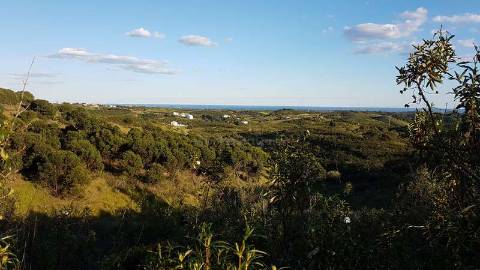 TERRENO MISTO COM 71.000 M2 - COM RUINA - POÇO - LAGO - VISTA MAR - POSSIBILIDADE DE CONSTRUÇÃO - HABITAÇÃO E/OU TURISMO - CHAMPANA - TAVIRA - ALGARVE