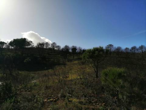 TERRENO MISTO COM 71.000 M2 - COM RUINA - POÇO - LAGO - VISTA MAR - POSSIBILIDADE DE CONSTRUÇÃO - HABITAÇÃO E/OU TURISMO - CHAMPANA - TAVIRA - ALGARVE