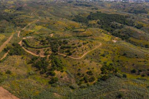 TERRENO MISTO COM 71.000 M2 - COM RUINA - POÇO - LAGO - VISTA MAR - POSSIBILIDADE DE CONSTRUÇÃO - HABITAÇÃO E/OU TURISMO - CHAMPANA - TAVIRA - ALGARVE