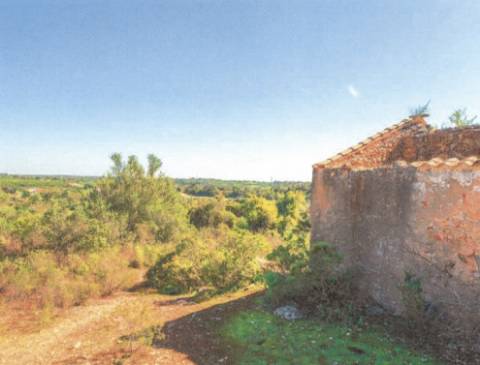 Terreno misto com 9120 m2 com Ruina de 102 m2 que permite ampliação até 300m2!