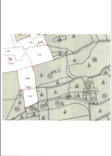 Terreno misto com 9120 m2 com Ruina de 102 m2 que permite ampliação até 300m2!