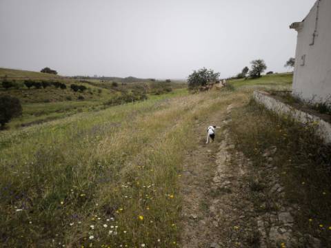 TERRENO COM 7.040 M2 - URBANO DE 320 M2 - PARA RECONSTRUIR - CAMPEIROS - CASTRO MARIM - ALGARVE