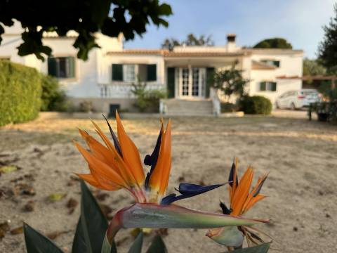 Magnifica moradia de campo T7 inserida num lote de terreno de 12000 m2.