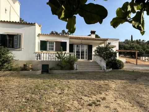 Magnifica moradia de campo T7 inserida num lote de terreno de 12000 m2.