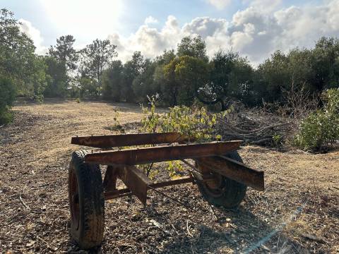 Magnifica moradia de campo T7 inserida num lote de terreno de 12000 m2.