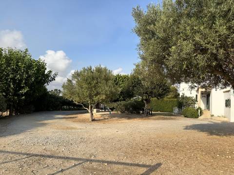 Magnifica moradia de campo T7 inserida num lote de terreno de 12000 m2.