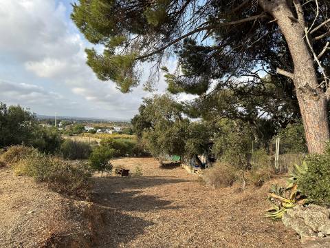 Magnifica moradia de campo T7 inserida num lote de terreno de 12000 m2.