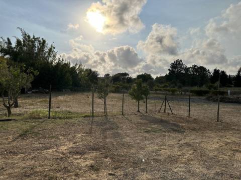 Magnifica moradia de campo T7 inserida num lote de terreno de 12000 m2.