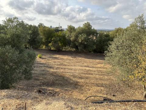 Magnifica moradia de campo T7 inserida num lote de terreno de 12000 m2.