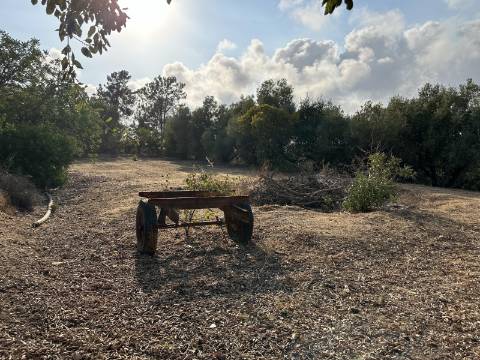 Magnifica moradia de campo T7 inserida num lote de terreno de 12000 m2.