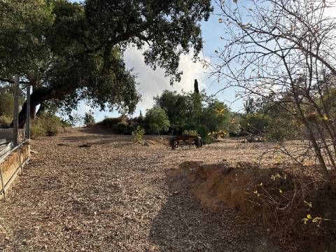 Magnifica moradia de campo T7 inserida num lote de terreno de 12000 m2.