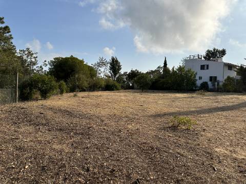 Magnifica moradia de campo T7 inserida num lote de terreno de 12000 m2.