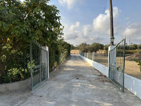 Magnifica moradia de campo T7 inserida num lote de terreno de 12000 m2.