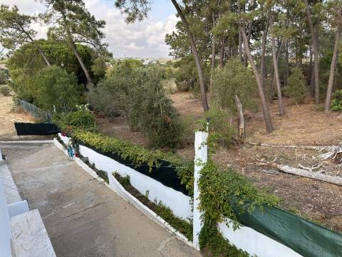 Magnifica moradia de campo T7 inserida num lote de terreno de 12000 m2.