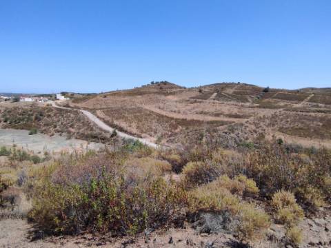 TERRENO COM 100.060 M2 - POSSIBILIDADE DE CONSTRUÇÃO - HABITAÇÃO E/OU TURISMO - JUNTO A BARRAGEM DA CAROUCHA - BOTELHAS - CASTRO MARIM - ALGARVE