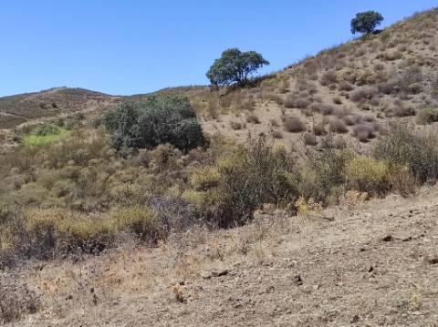 TERRENO COM 100.060 M2 - POSSIBILIDADE DE CONSTRUÇÃO - HABITAÇÃO E/OU TURISMO - JUNTO A BARRAGEM DA CAROUCHA - BOTELHAS - CASTRO MARIM - ALGARVE