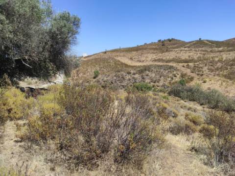 TERRENO COM 100.060 M2 - POSSIBILIDADE DE CONSTRUÇÃO - HABITAÇÃO E/OU TURISMO - JUNTO A BARRAGEM DA CAROUCHA - BOTELHAS - CASTRO MARIM - ALGARVE