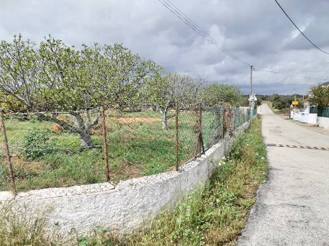 Terreno vedado com furo de água e árvores de frutos