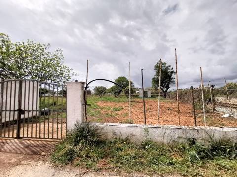 Terreno vedado com furo de água e árvores de frutos