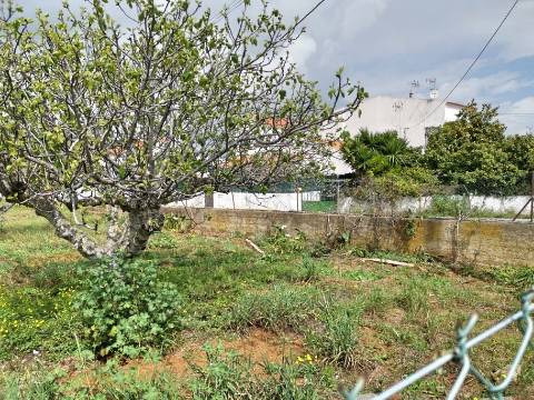 Terreno vedado com furo de água e árvores de frutos