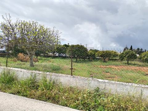 Terreno vedado com furo de água e árvores de frutos