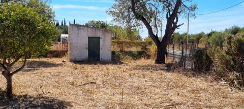 Terreno vedado com furo de água e árvores de frutos
