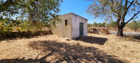 Terreno vedado com furo de água e árvores de frutos