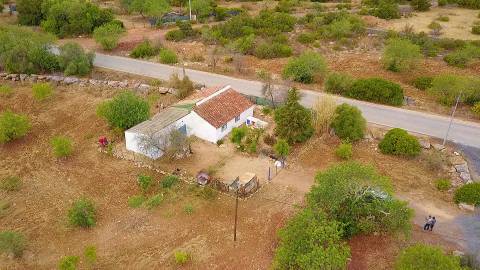 Moradia típica com terreno agrícola em Santa Catarina da Fonte do Bispo