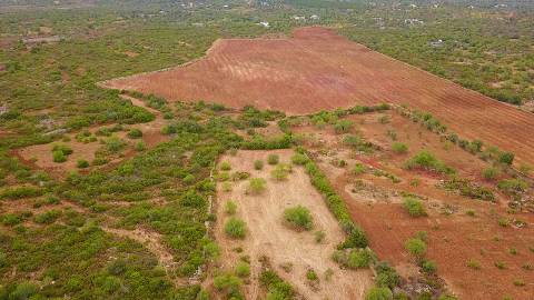 Moradia típica com terreno agrícola em Santa Catarina da Fonte do Bispo