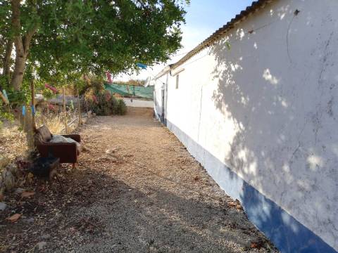 Moradia típica com terreno agrícola em Santa Catarina da Fonte do Bispo