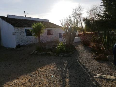 Moradia típica com terreno agrícola em Santa Catarina da Fonte do Bispo
