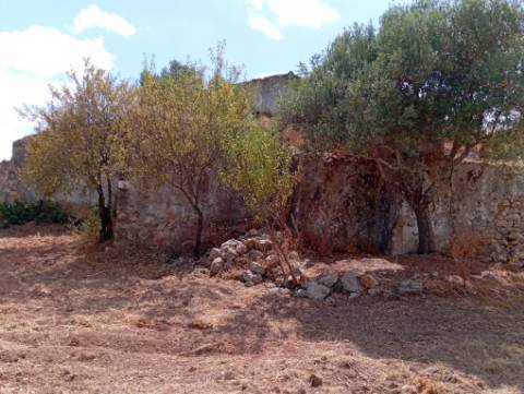Quinta em Santa Catarina da Fonte do Bispo