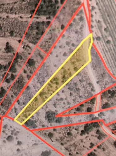 TERRENO RUSTICO COM 2.155 M2 - JUNQUEIRA - BELICHE - CASTRO MARIM - ALGARVE