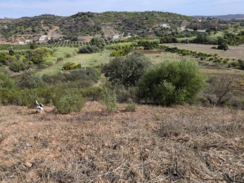 TERRENO RUSTICO COM 2.155 M2 - JUNQUEIRA - BELICHE - CASTRO MARIM - ALGARVE