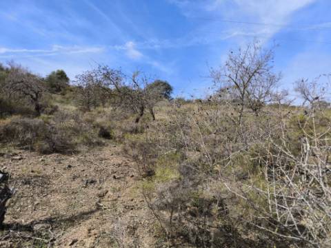 TERRENO RUSTICO COM 2.155 M2 - JUNQUEIRA - BELICHE - CASTRO MARIM - ALGARVE