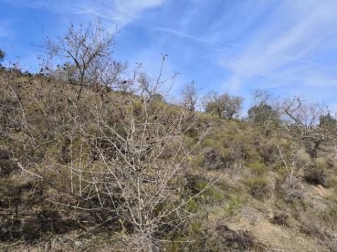 TERRENO RUSTICO COM 2.155 M2 - JUNQUEIRA - BELICHE - CASTRO MARIM - ALGARVE