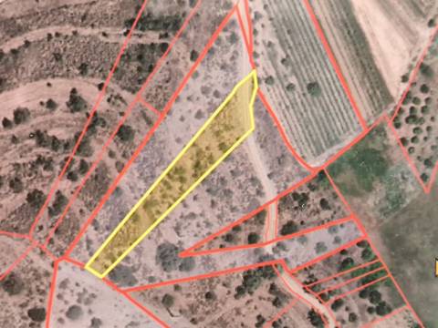 TERRENO RUSTICO COM 2.155 M2 - JUNQUEIRA - BELICHE - CASTRO MARIM - ALGARVE