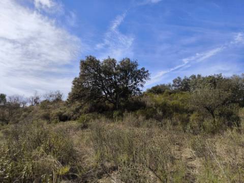 TERRENO RUSTICO COM 2.155 M2 - JUNQUEIRA - BELICHE - CASTRO MARIM - ALGARVE