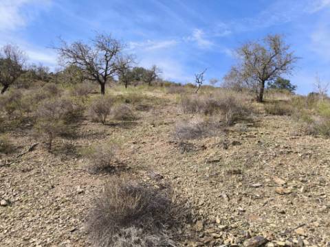 TERRENO RUSTICO COM 2.155 M2 - JUNQUEIRA - BELICHE - CASTRO MARIM - ALGARVE