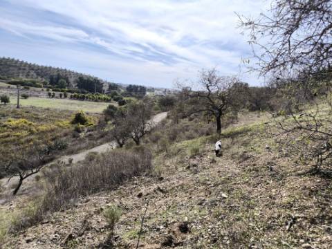 TERRENO RUSTICO COM 2.155 M2 - JUNQUEIRA - BELICHE - CASTRO MARIM - ALGARVE