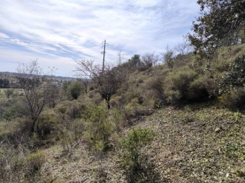 TERRENO RUSTICO COM 2.155 M2 - JUNQUEIRA - BELICHE - CASTRO MARIM - ALGARVE