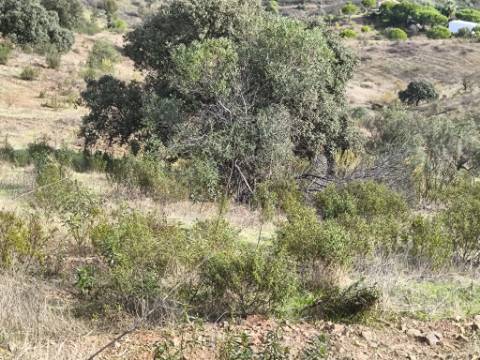 TERRENO RUSTICO COM 7.360 M2 - BELICHE - EM CASTRO MARIM - ALGARVE