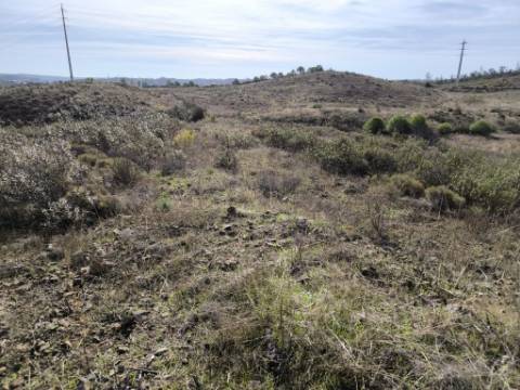 TERRENO RUSTICO COM 7.360 M2 - BELICHE - EM CASTRO MARIM - ALGARVE