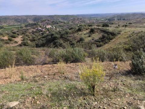 TERRENO RUSTICO COM 7.360 M2 - BELICHE - EM CASTRO MARIM - ALGARVE