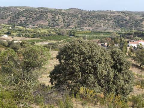 TERRENO RUSTICO COM 7.360 M2 - BELICHE - EM CASTRO MARIM - ALGARVE