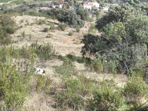 TERRENO RUSTICO COM 7.360 M2 - BELICHE - EM CASTRO MARIM - ALGARVE