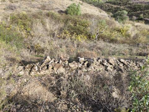 TERRENO COM 21.000 M2 - COM POÇO - FIGUEIRAIS - BELICHE - CASTRO MARIM - ALGARVE