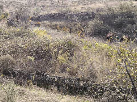 TERRENO COM 21.000 M2 - COM POÇO - FIGUEIRAIS - BELICHE - CASTRO MARIM - ALGARVE